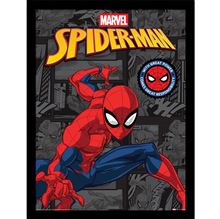 SPIDER-MAN (WITH GREAT POWER) COLLECTOR PRINT