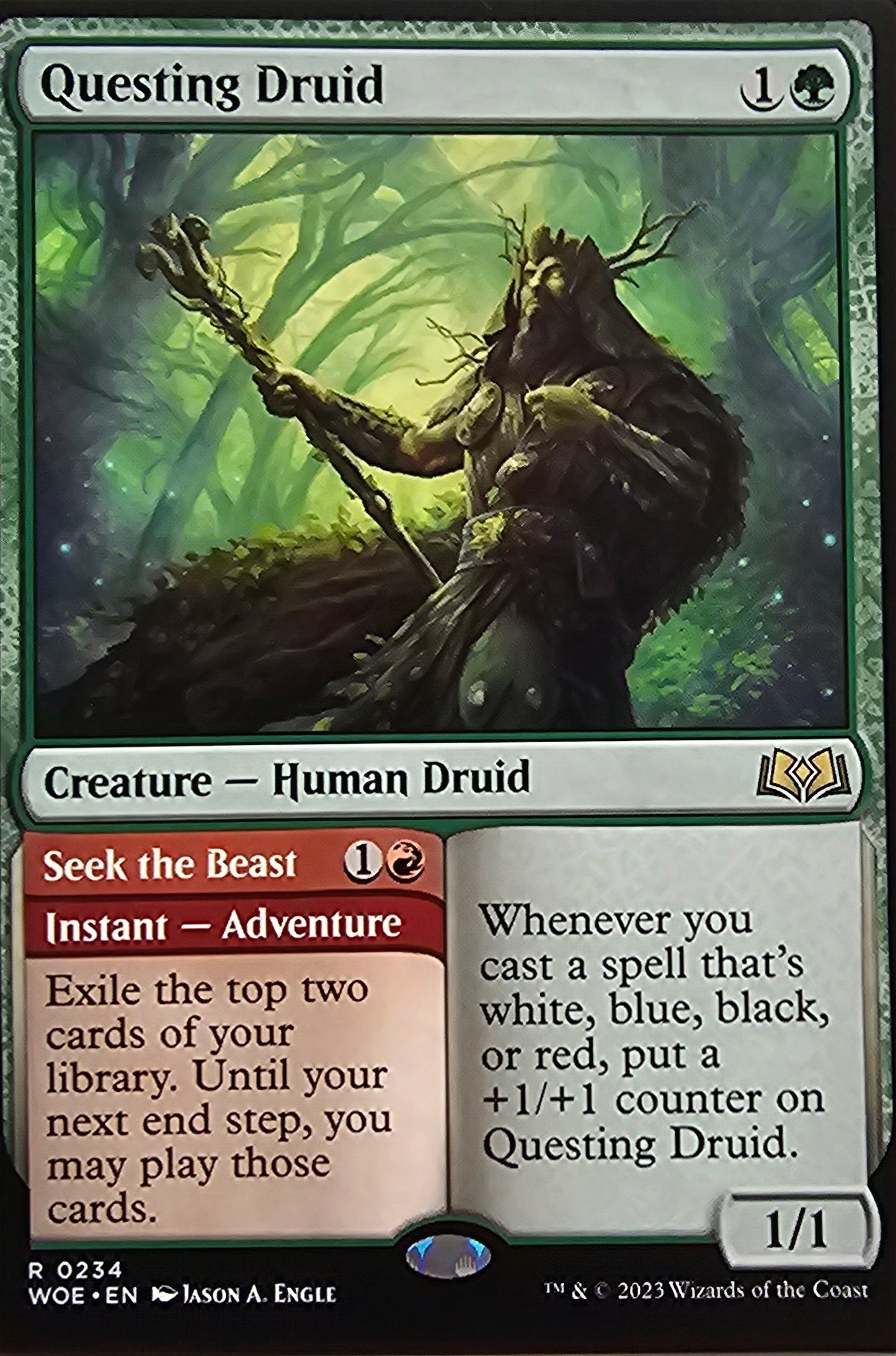 Magic The Gathering Questing Druid Single Card