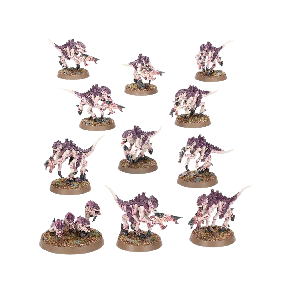 Warhammer 40,000 Introductory Set