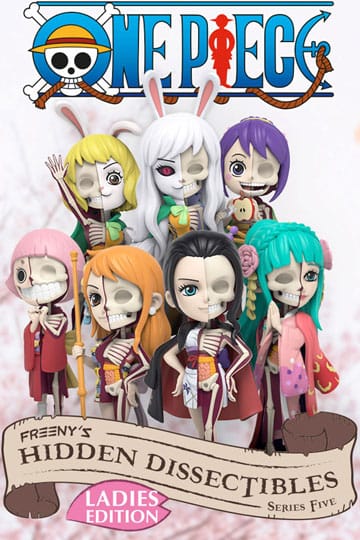 One Piece Blind Box Hidden Dissectibles Series 5 (Ladies ed.)