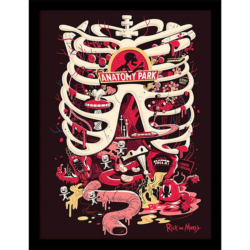 RICK AND MORTY (ANATOMY PARK)
