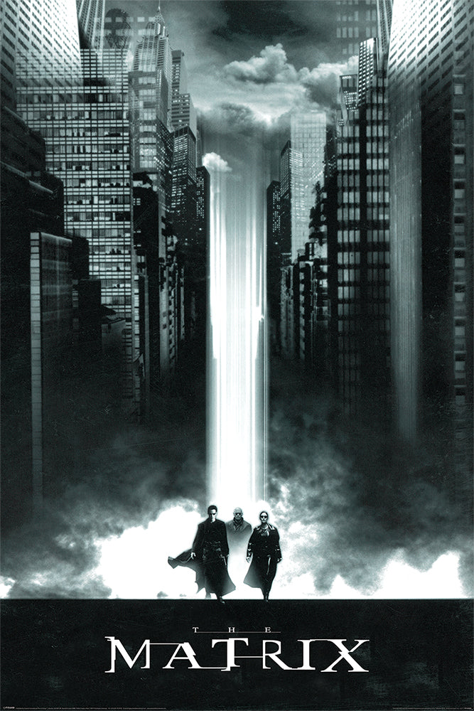 The Matrix Poster 18