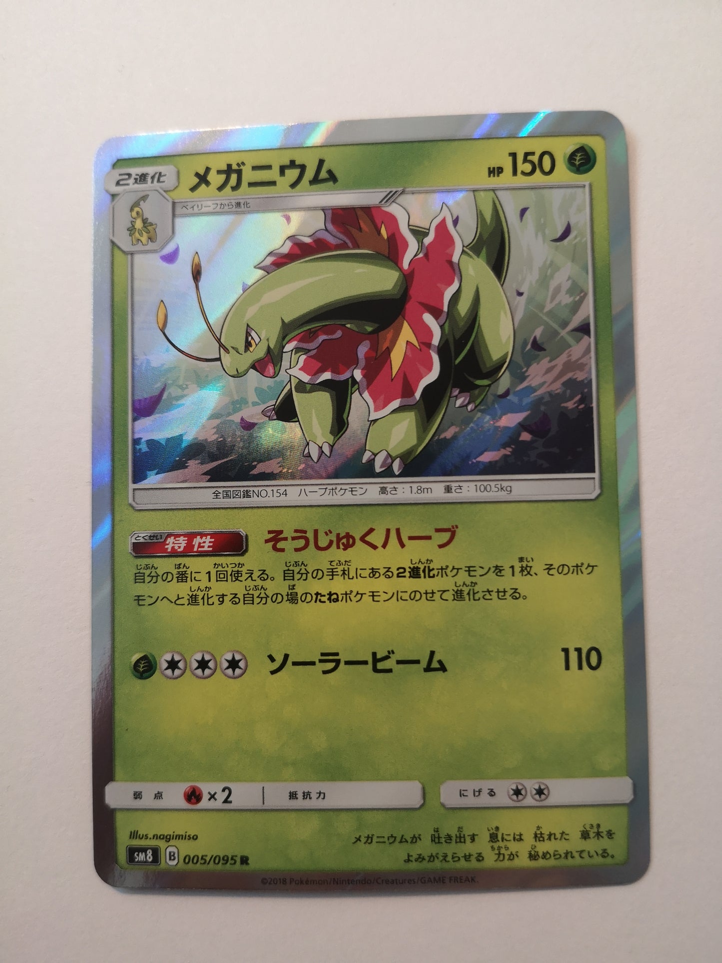 Pokemon Meganium Holo (Japanese) 005/095