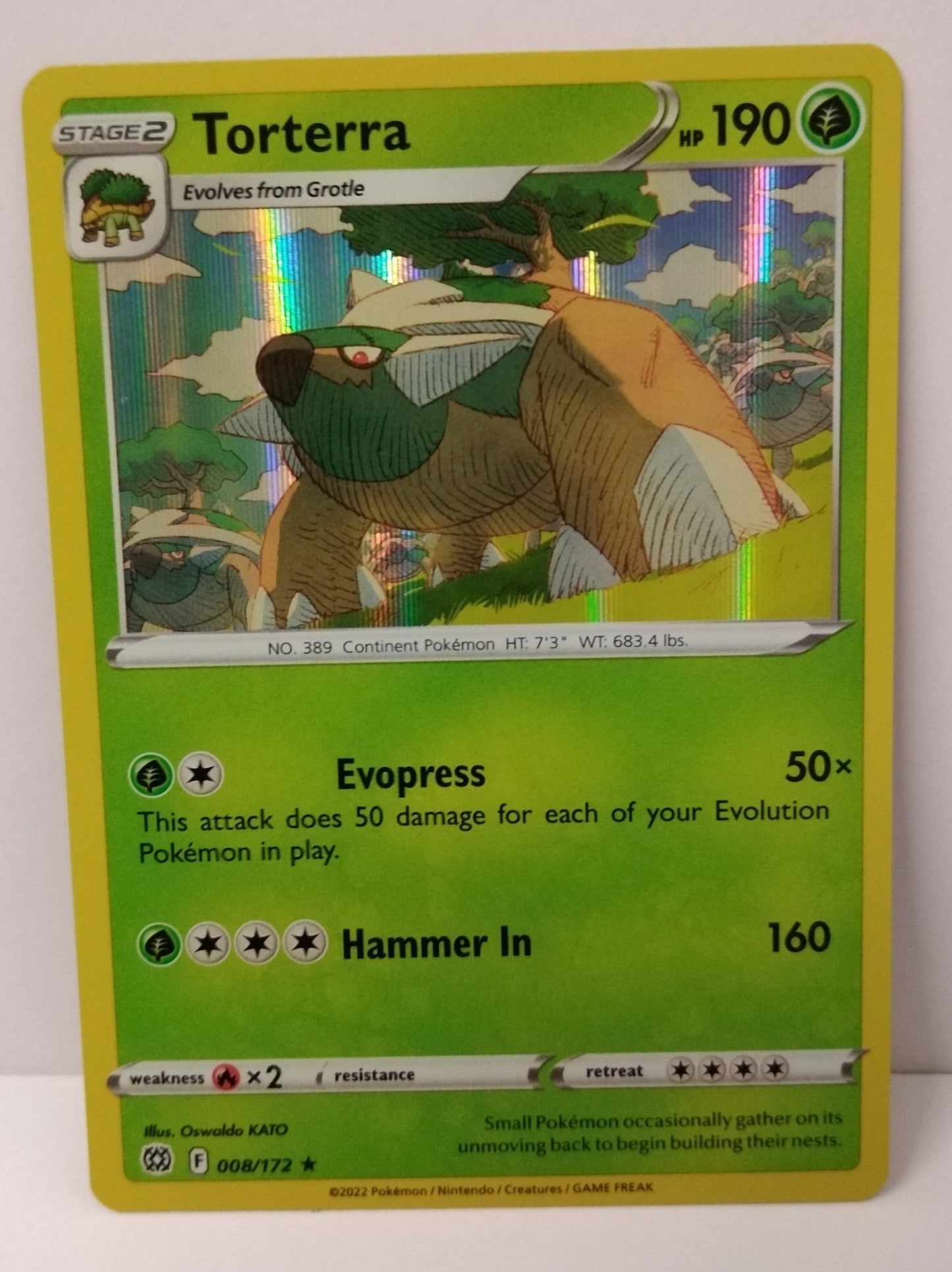 Pokemon Torterra Holo 008/172