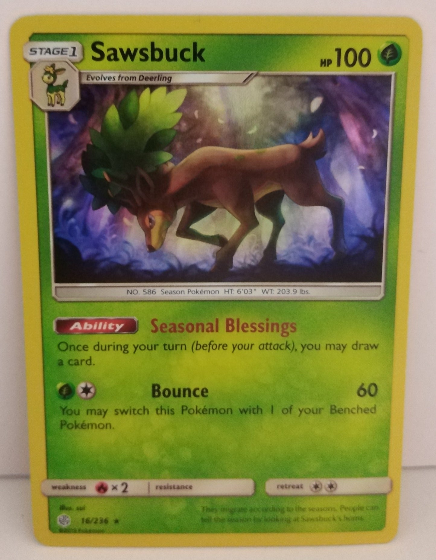 Pokemon Sawsbuck Holo 16/236