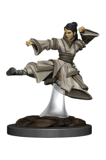 D&D Icons of the Realms Premium Miniature pre-painted Human Monk Female