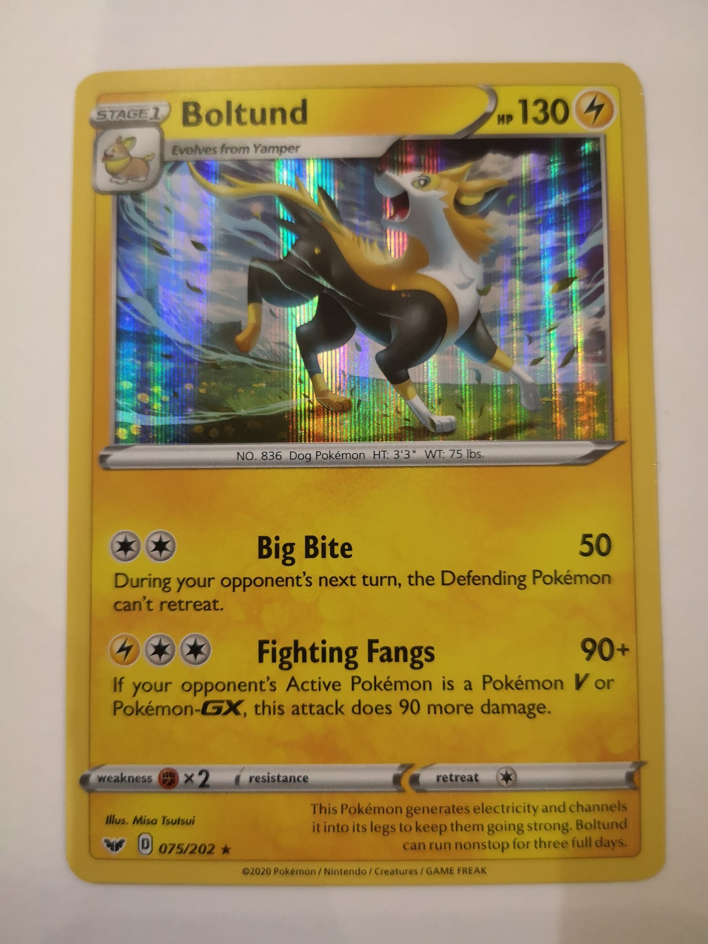 Pokemon Boltund Holo 075/202