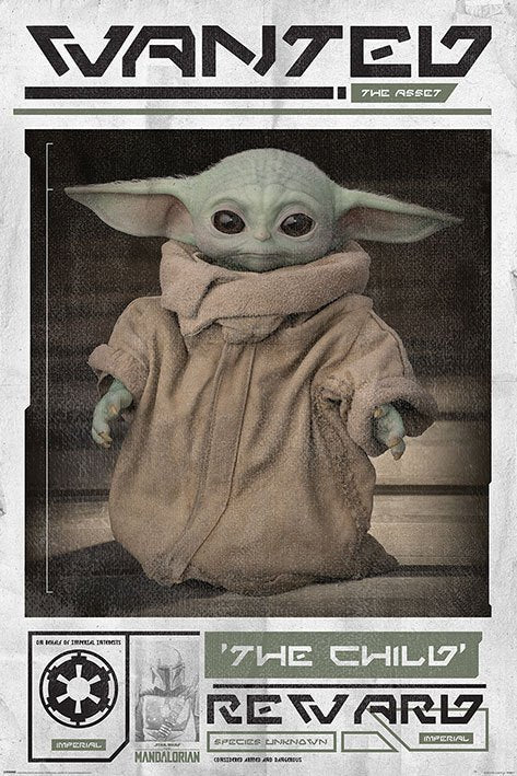 Star Wars The Mandalorian: Wanted Poster