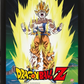 DRAGON BALL Z (POWER LEVELS INCREASED) - FRAMED