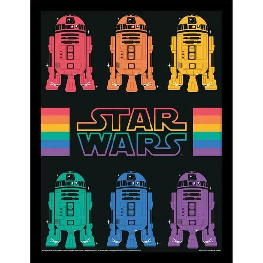 Star Wars Pride (R2D2 Rainbow) White Frame
