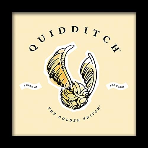 Harry Potter (Quidditch) Framed Photo