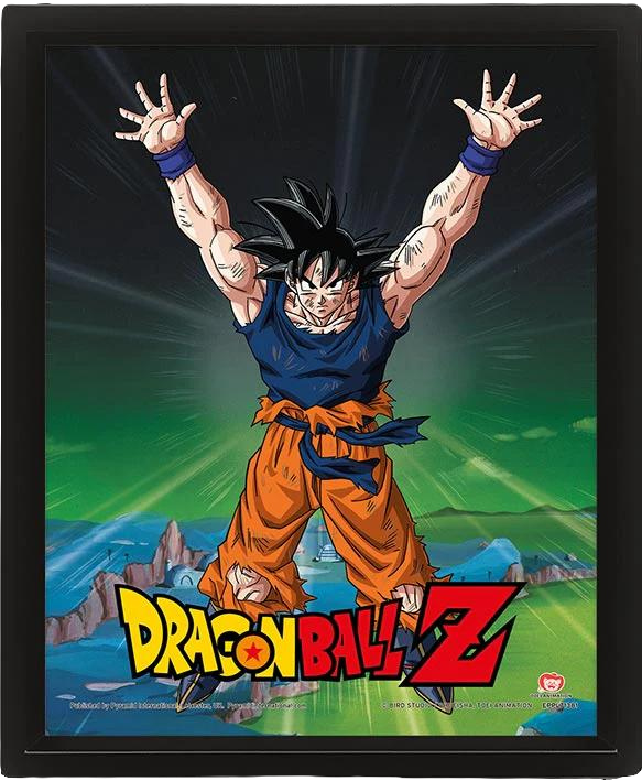DRAGON BALL Z (POWER LEVELS INCREASED) - FRAMED