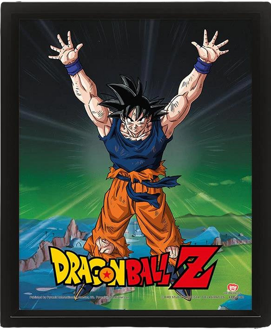 DRAGON BALL Z (POWER LEVELS INCREASED) - FRAMED