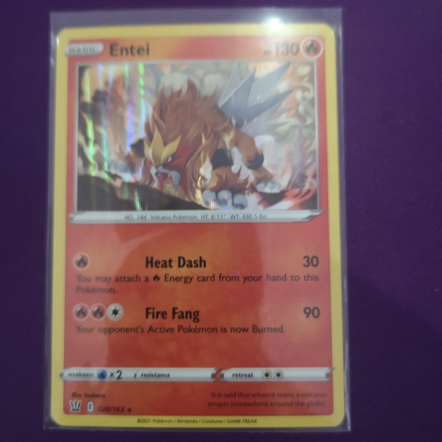 Pokemon Entei Holo 020/163