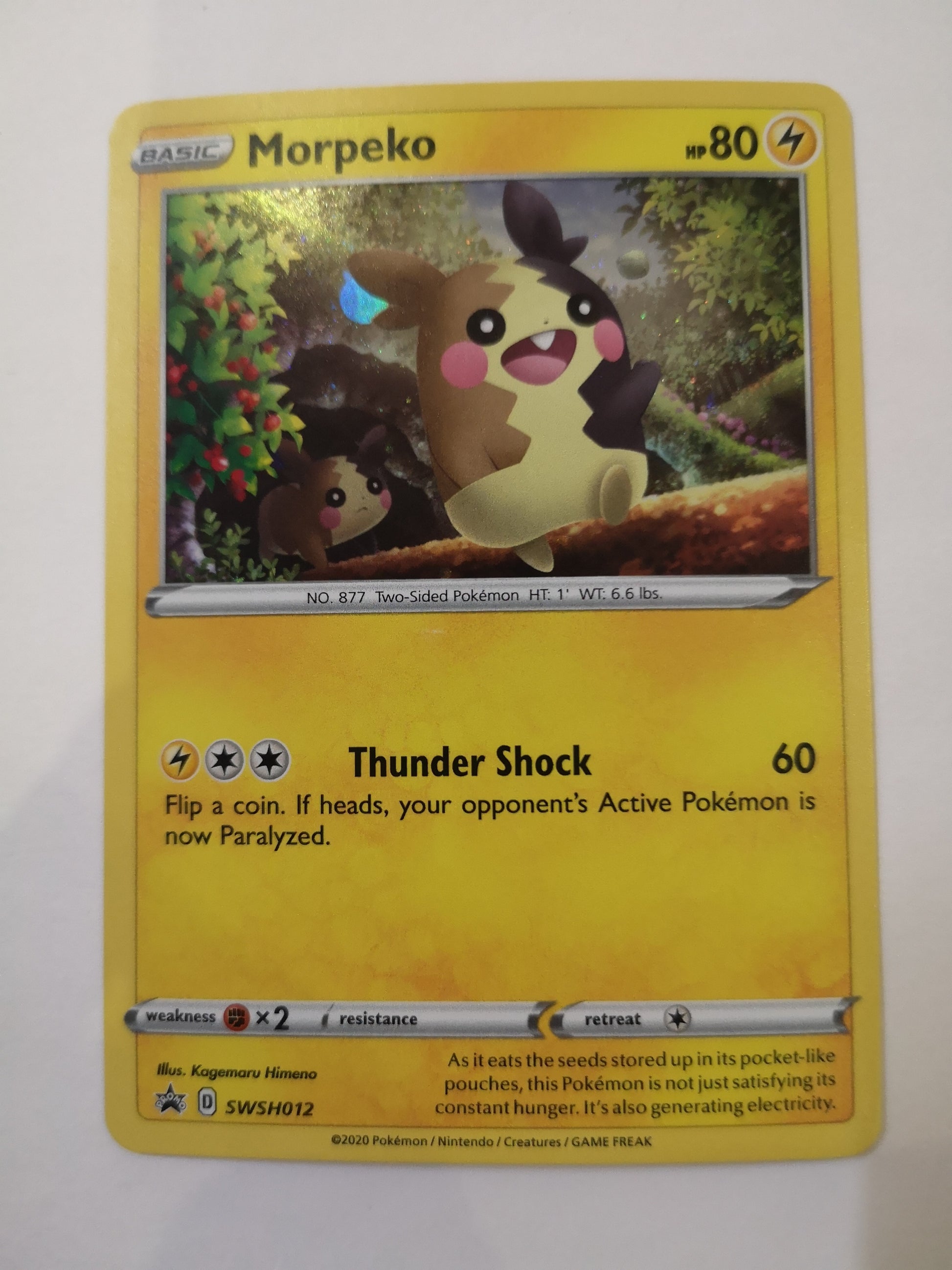 Pokemon Morpeko Holo SWSH012 Unified Cards Pokemon Morpeko Holo SWSH012 Unified Cards
