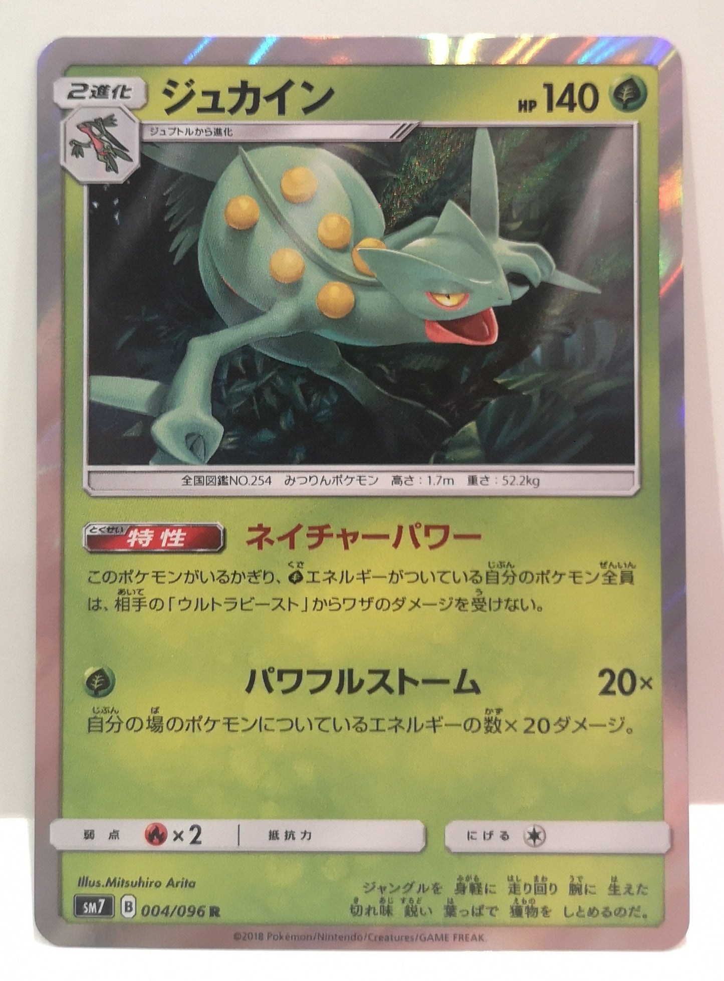 Pokemon Sceptile Holo (Japanese) 004/096