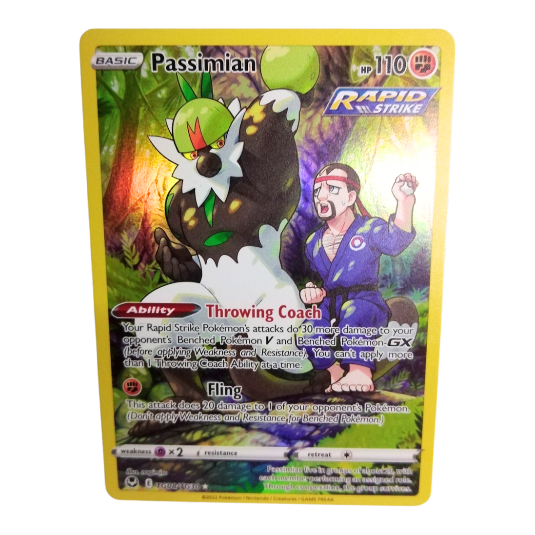 Pokemon Passimian TG08/TG30