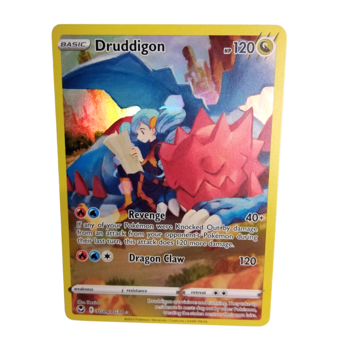 Pokemon Druddigon TG09/TG30