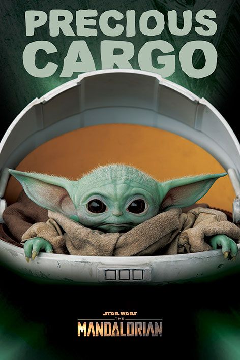 Star Wars The Mandalorian: Precious Cargo Poster